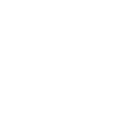 Nuevas Generaciones Logo